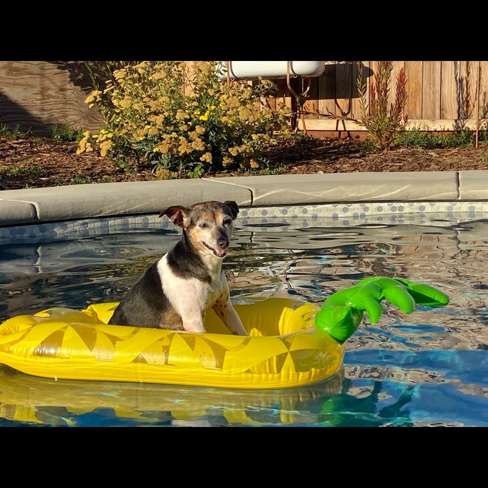 Meet your Posher, Sara